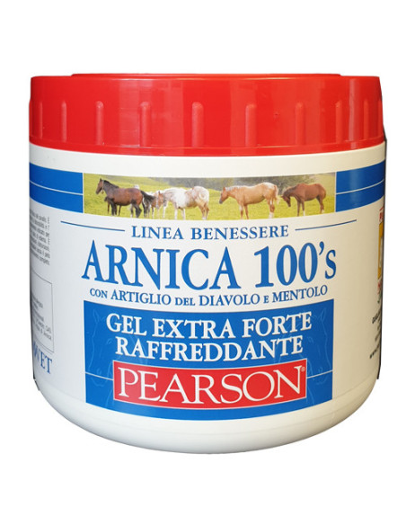 Arnica 100 s extra forte raffr