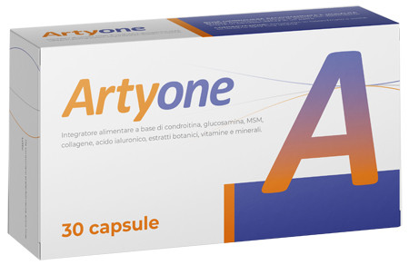 Artyone 30 capsule seikou