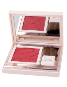 Defence color pretty fard 310