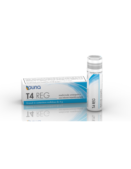 T4 reg 4g 80gr cont multid