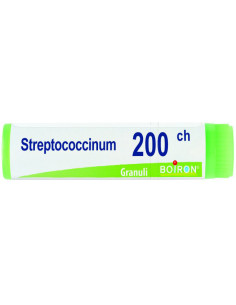 Streptococcinum 200ch gl