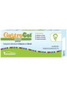 Gastrocol nausea gomme 34g