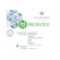 Prointex 14 bustine