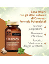 Salugea colonsan formula potenziata 60 capsule