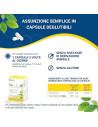 Lipidic vitawin C 75 capsule