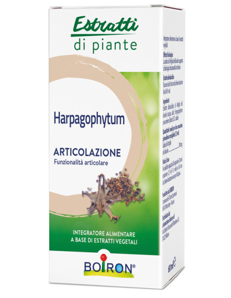 Harpagophytum ei 60ml int