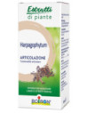Harpagophytum ei 60ml int