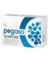Pegaso gonfiore 60 capsule