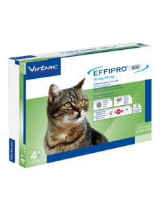 Effipro duo gatto 50 mg