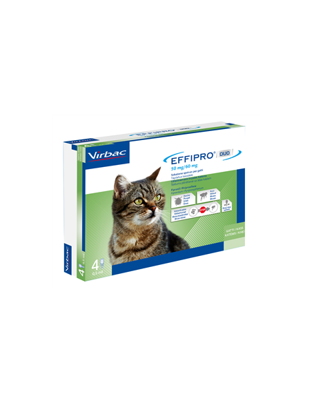 Effipro duo gatto 50 mg