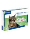 Effipro duo gatto 50 mg