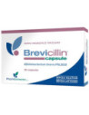 Brevicillin 20 capsule fr