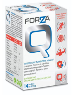 Forza q 14bust