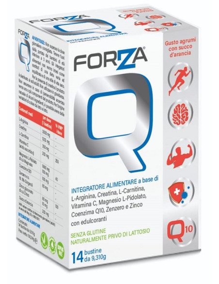 Forza q 14bust