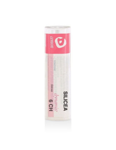 Silicea 6ch gr