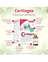 Cartilagea salugea integratore per il benessere articolare 18 flaconcini da 12ml