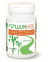 Psyllium base polvere 200g