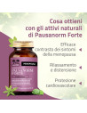 Pausanorm forte salugea 60 capsule