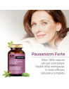 Pausanorm forte salugea 60 capsule