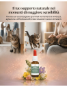 Fiori di Bach Gocce Rimedio Naturale per Cani e Gatti Timorosi 30 ml
