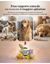 Fiori di Bach Gocce Rimedio Naturale per Cani e Gatti Iperattivi e Agitati 30 ml