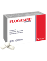 Flogasine 20 compresse
