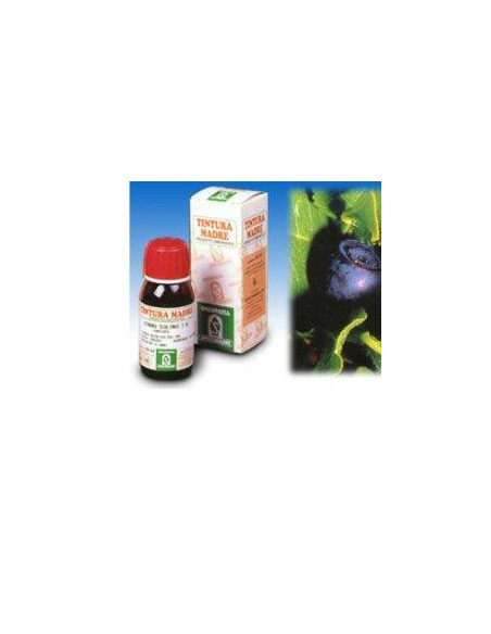 Mirtillo 31 50ml tm