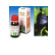 Mirtillo 31 50ml tm
