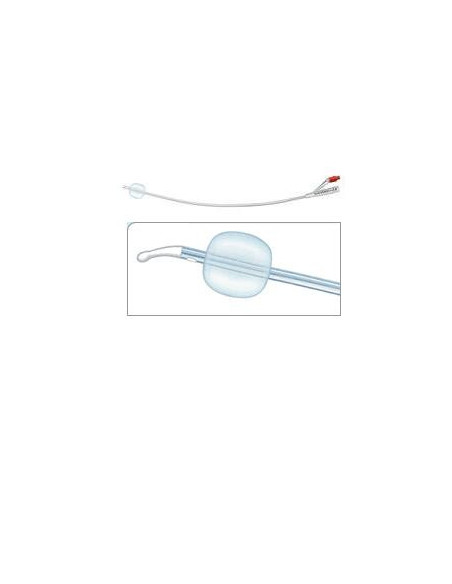 Cat foley silic 2v ch22 rusch