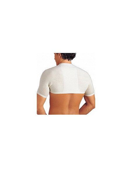 Gibaud coprisp anat 4