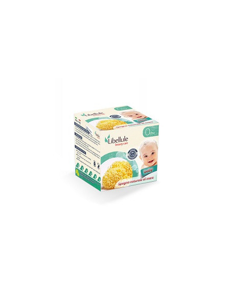 Spugna natur mare 8 libellule