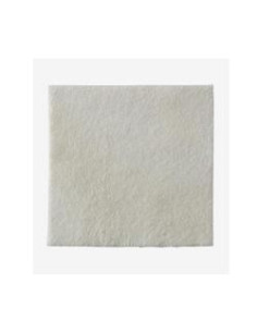 Biatain alg medic 15x15cm 10p