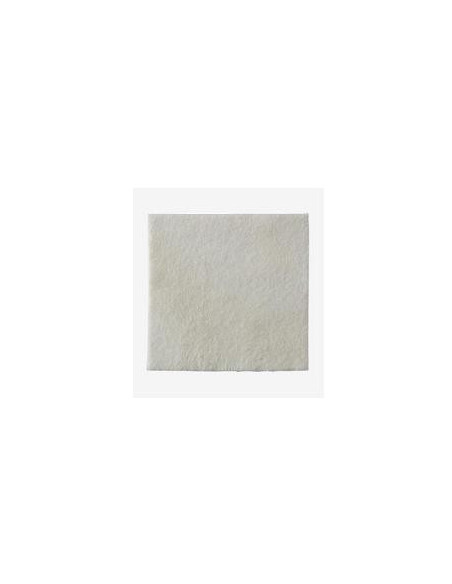 Biatain alg medic 15x15cm 10p