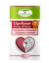Lipolysar long action 45 capsule