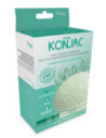 Libellule konjac viso aloe