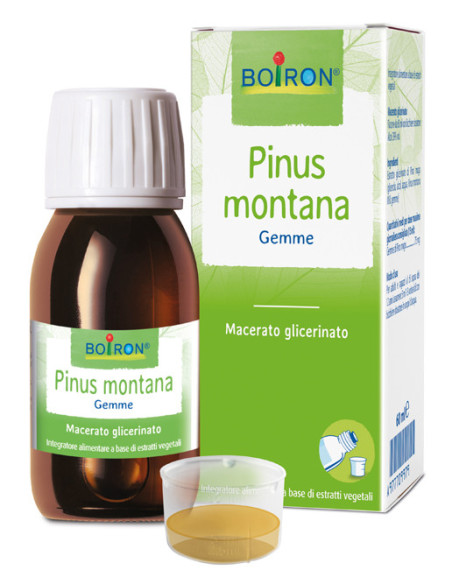 Pinus montana boiron mg 60ml