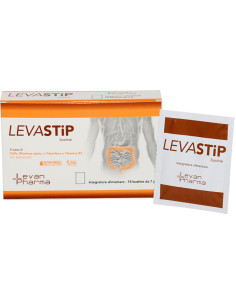 Levastip 14bust