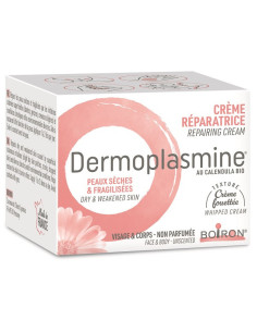 Dermoplasmine mousse 20g