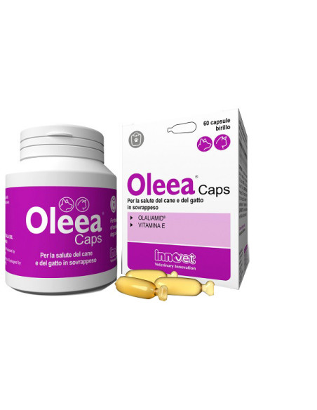Oleea caps 60 capsule