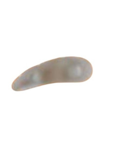 Orione ok ped g114 cus mart dx