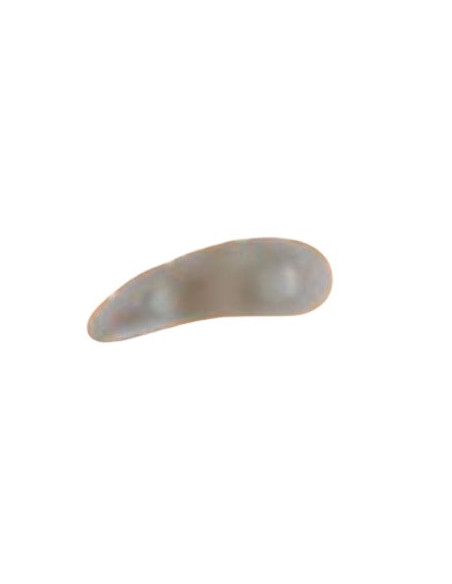 Orione ok ped g114 cus mart dx