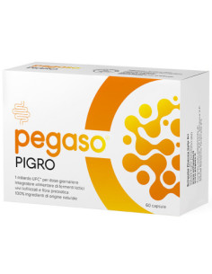 Pegaso pigro 60 capsule