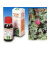 Cardo mariano 6 50ml tm