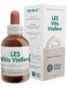 Fv.les vitis vinifera 50ml mg