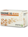 Magnesio b 300 30 bustine