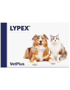 Lypex 60 capsule