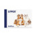 Lypex 60 capsule