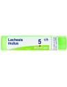 Lachesis mutus 5 ch granuli