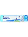 Poumon histamine 9 ch granuli
