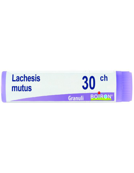 Lachesis mutus 30 ch globuli